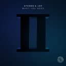 ATKIINS, JDP (UK) - What You Need (Extended Mix)