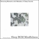 Sleep BGM Mindfulness - Awakening Moments in a Space of Sleep and Healing (Original Mix)