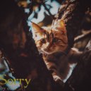 ozer - Sorry ()