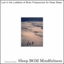 Sleep BGM Mindfulness - Restorative Dreams Emerge from Night's Silence