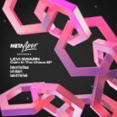 Levi Swarn - Look At The Funk