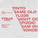 Pinto - Epizoic (Original Mix)