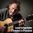 Lucas Tarrega.Guitar - Little Red Corvette (Original Mix)