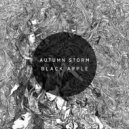 AUTUMN STORM - Love (Original Mix)