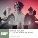 Like Mike, Novak, WUULA - What Is Reality