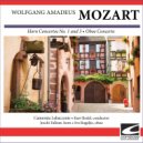 Camerata Labacenis - Mozart - Horn Concerto No. 1 in D major KV 412 - Allegro