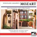 Camerata Labacenis - Mozart - Oboe Concerto in C major KV 314 - Rondo-Allegretto ()
