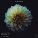 Mind Conspiracy - Twisted Circles (Ziger Remix)