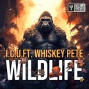 I.C.U, Whiskey Pete - NO.1 (Original Mix)