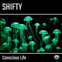 Shifty - Robyn\'s Theme (Original Mix)
