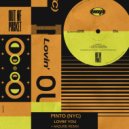 Pinto (NYC) - Lovin\' You (Aazure Remix)