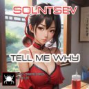 Solntsev - Tell Me Why (Original Mix)