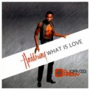 Haddaway - What Is love (DJ Harvie Remix)