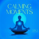 Sami Sivananda - Reflections