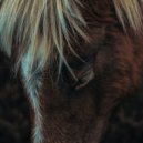 Runaway Horses - Lost in a Thought (Original Mix)