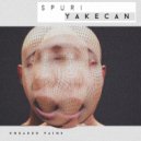 SPURI - Blurring