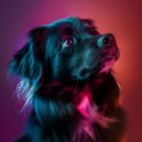 Pet Music World & Lofi Chill and Study & Lofi Pau Pau - Gentle Pets in Calming Melodies