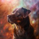 Puppy Music & Lofi Radio & Lo Fi Hip Hop 2023 - Calm Canine in Serene Sounds