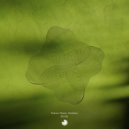 Franco Rossi & Centeno - Borda IV