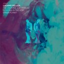 Luciano Pelliza - The Universe Just for Us