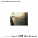 Sleep BGM Mindfulness - Solfeggio Echoes in Neurological Whispers