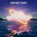 Dallien, Danny CLLS, nøya. - How Will I Know (Extended Mix)