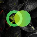 N3UX - Harmony
