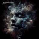 David Blackstorm - Acid Day (Original Mix)