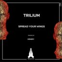 Trilium - Spread Your Wings