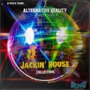 Alternative Reality - Groove Syndicate