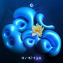 NYMPHAA - Albaa ()