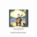 Saraswati Bhandari - Celestial Promenade Passion