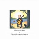 Saraswati Bhandari - Nebular Muse Melodies