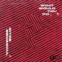 Benzsoul, Sitze - What Would You Do? (Original Mix)