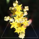 ISAAG, Kaala Shaw - Vibrant Soul (Original Mix)