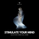 BLACK BOX, DOBé, MESH (SA) - Stimulate Your Mind