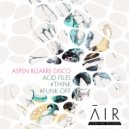 Aspen Bizarre Disco - Think (Original Mix)