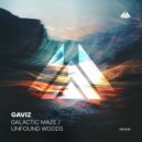 Gaviz - Galactic Maze