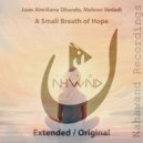 Juan Almisaana Obando, Mehran Vedadi - A Small Breath of Hope