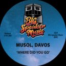 MuSol & Davos - Where Did You Go (Edit)
