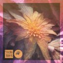 Komashov - Bali