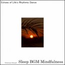 Sleep BGM Mindfulness - In the Realm of Sound Design, Night\'s Fears Unravel (Original Mix)