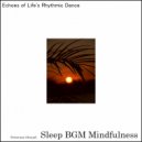 Sleep BGM Mindfulness - Brainwave Harmony Mingles with Emotional Echoes