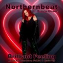 Northernbeat ft. Bianca Kinane - Brilliant Feeling