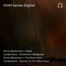 Danijel Kevic - Emotional Intelligence (Original Mix)