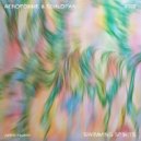 Aeroforme & Schlopan - Quantum Monkeys (Original Mix)