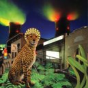 Peace to Mateo - Blades of Grass ()