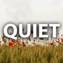 Zezllor - Quiet ()