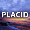 Terriwl - Placid ()