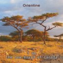 Orientine - I am the new Board of Canada (Slowed & Reverb)